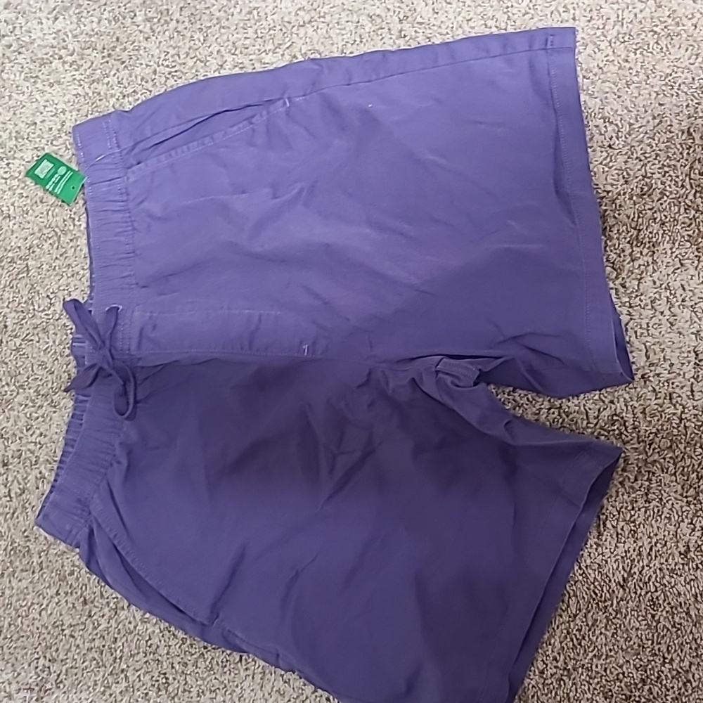 Men's purple Gap shorts